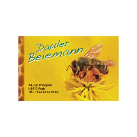 Marque Dauler Beiemann