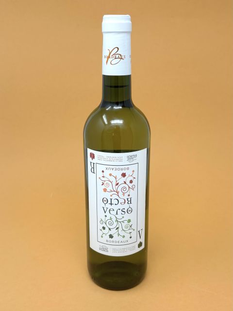 Recto Verso Blanc 2023 (assemblage)